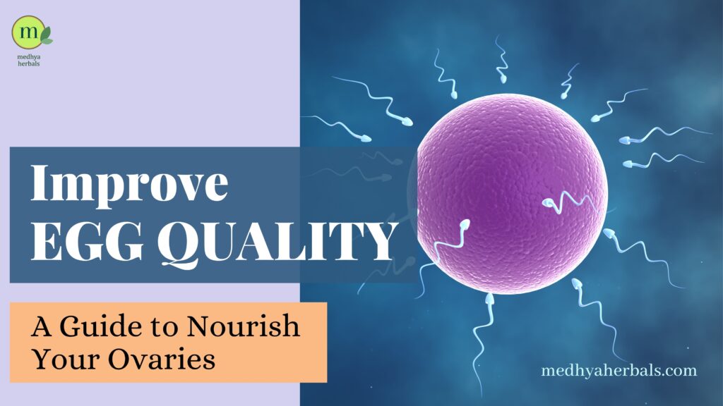 How to Improve Egg Quality: A Guide to Nourish Your Ovaries